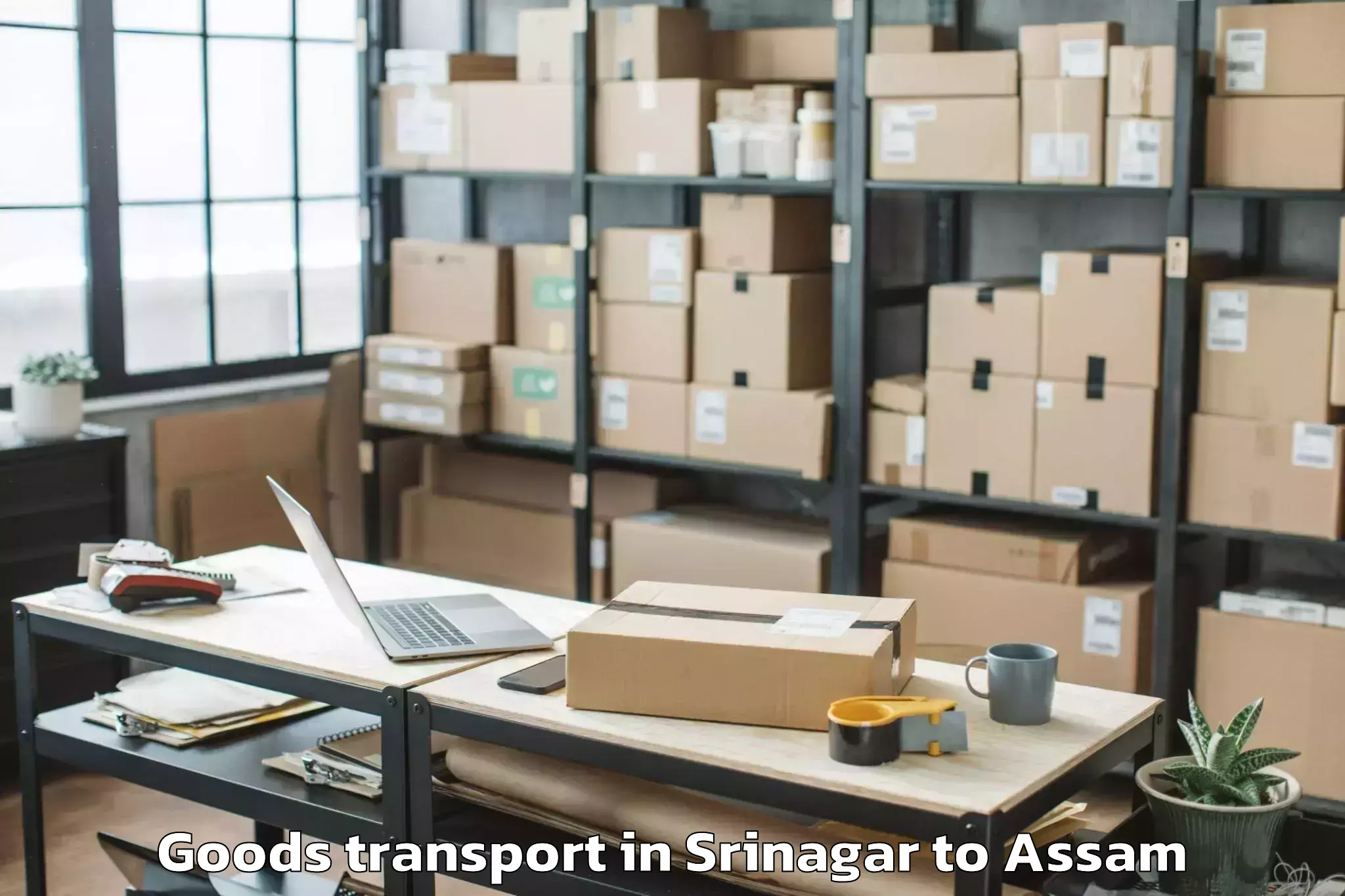 Top Srinagar to Nalbari Goods Transport Available